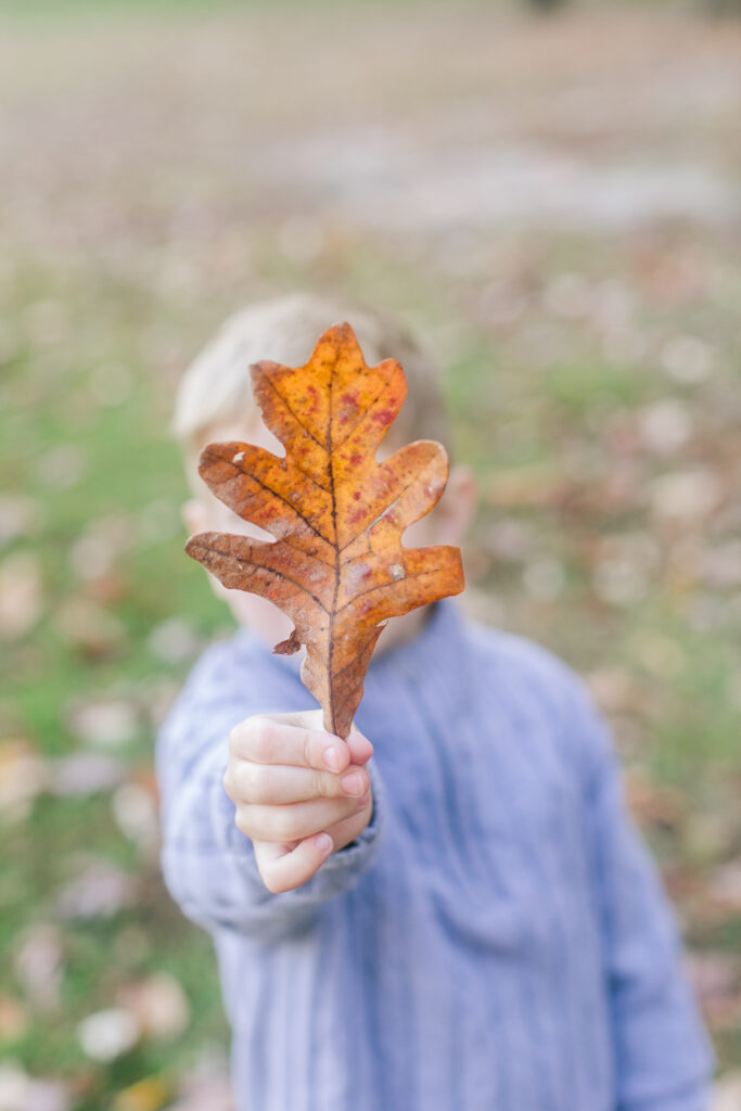 fall photography update