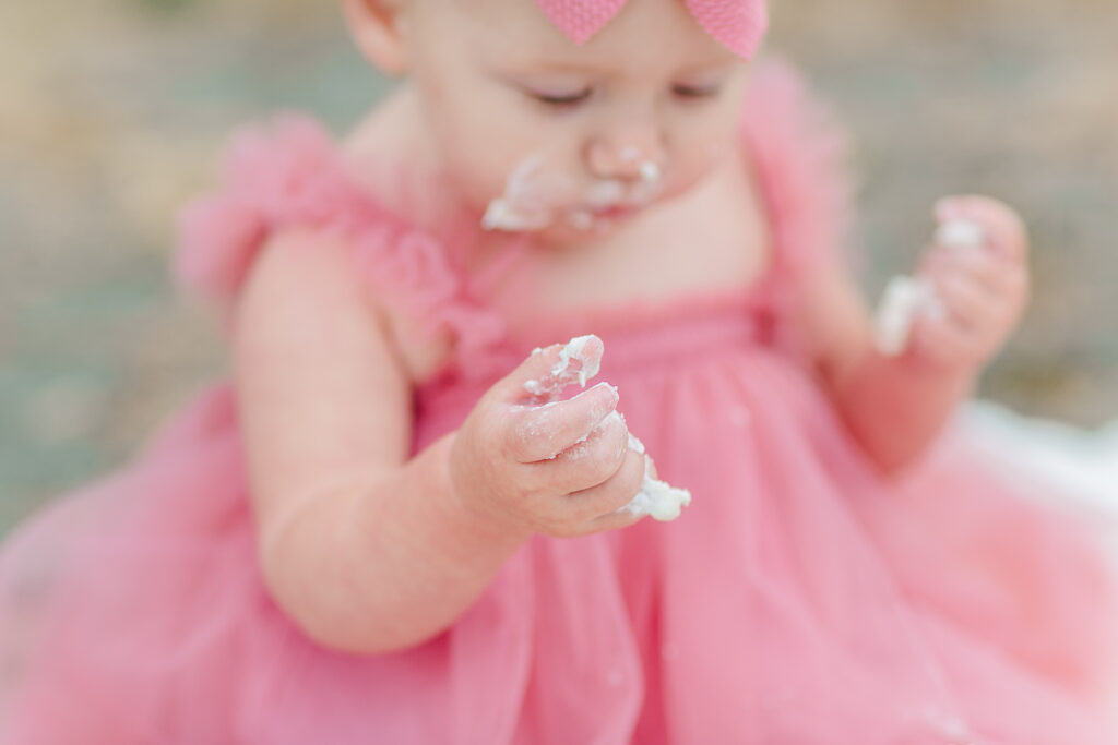 ft monroe pink cake smash first birthday photos