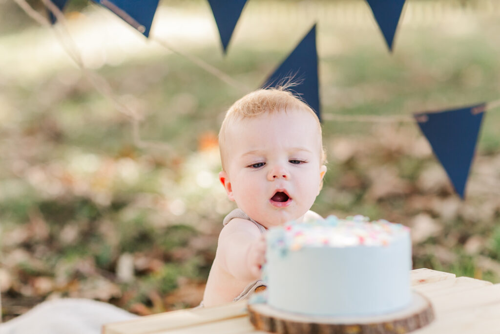 boy blue cake smash