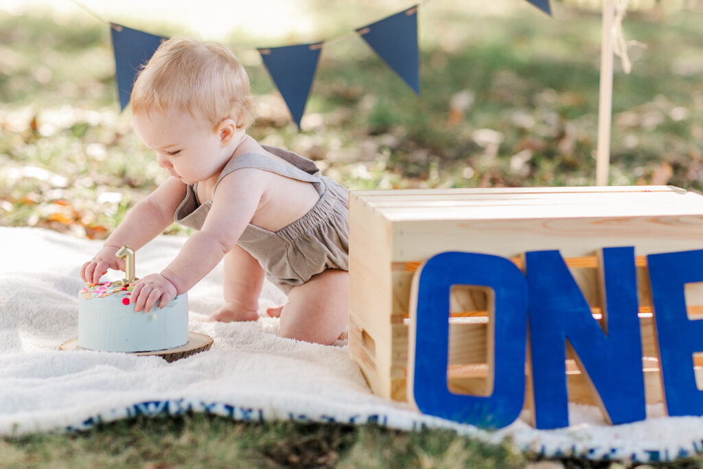 boys blue cake smash