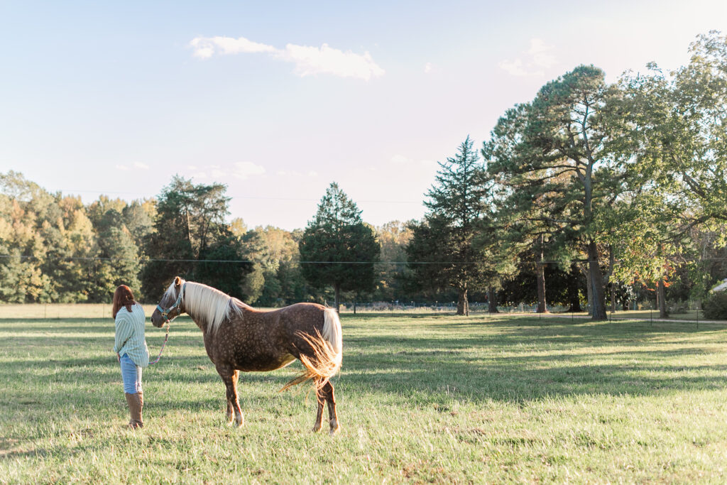 fall family photos
