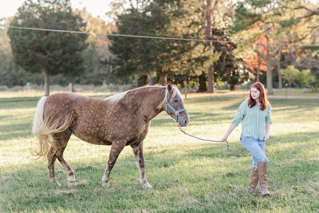 fall family photos
horse photos
