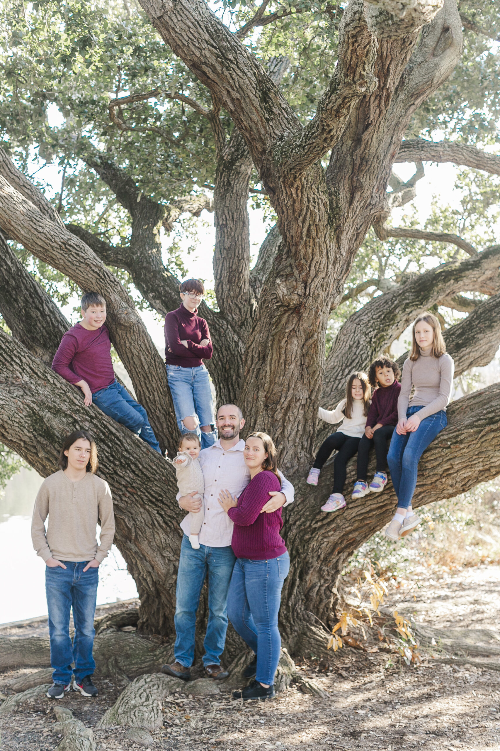 lions bridge family photos