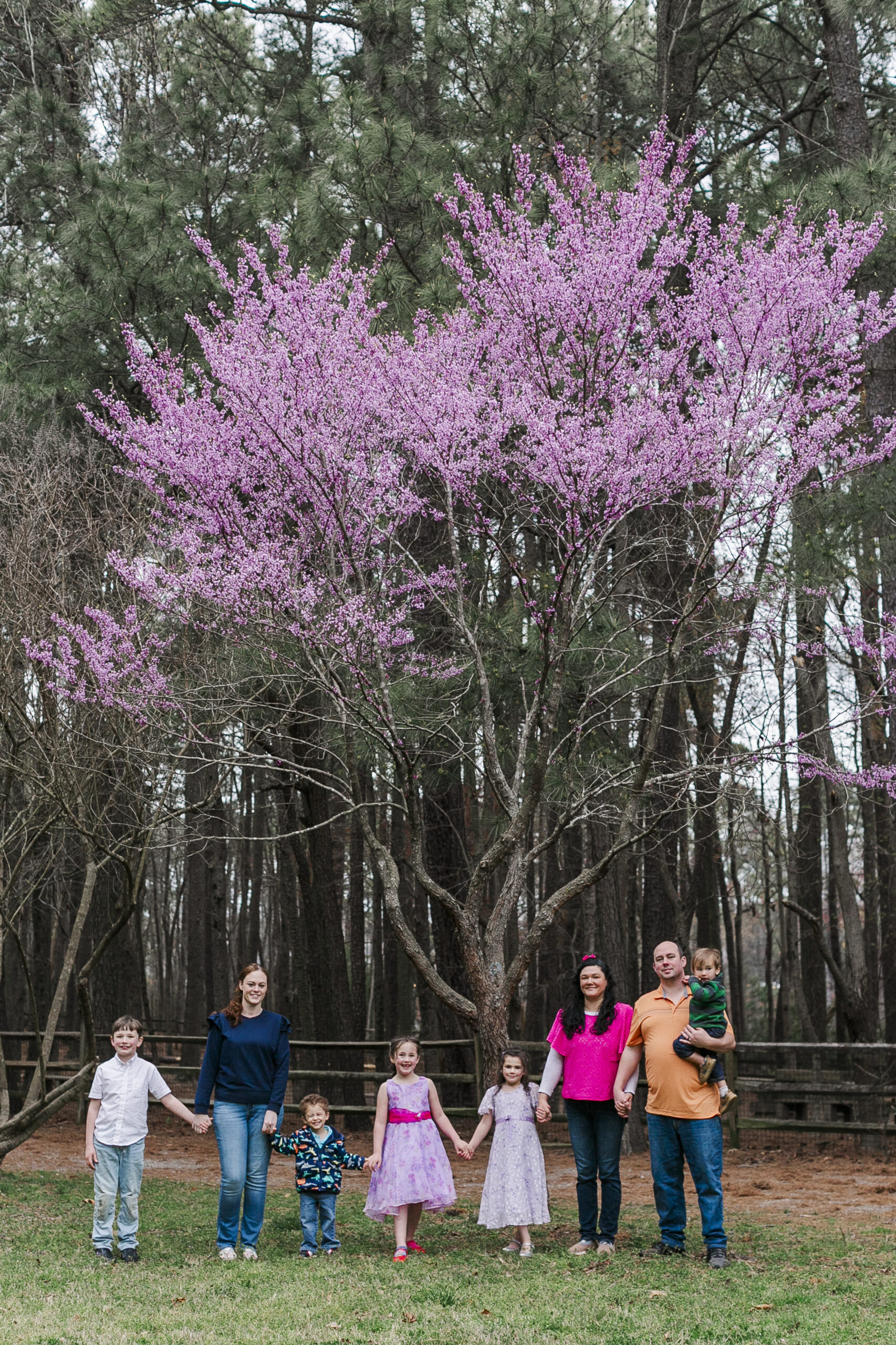 spring family photos