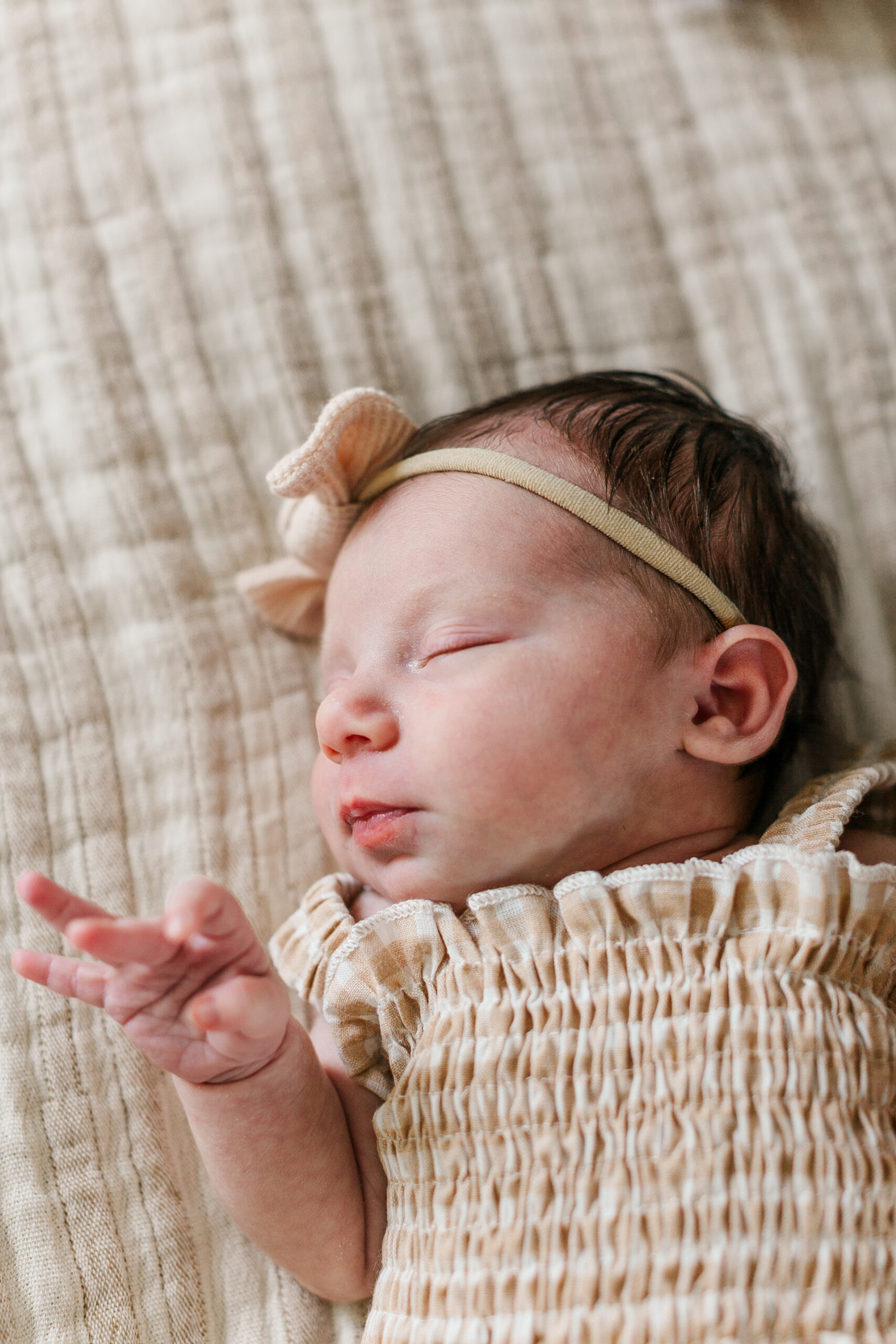 newborn session